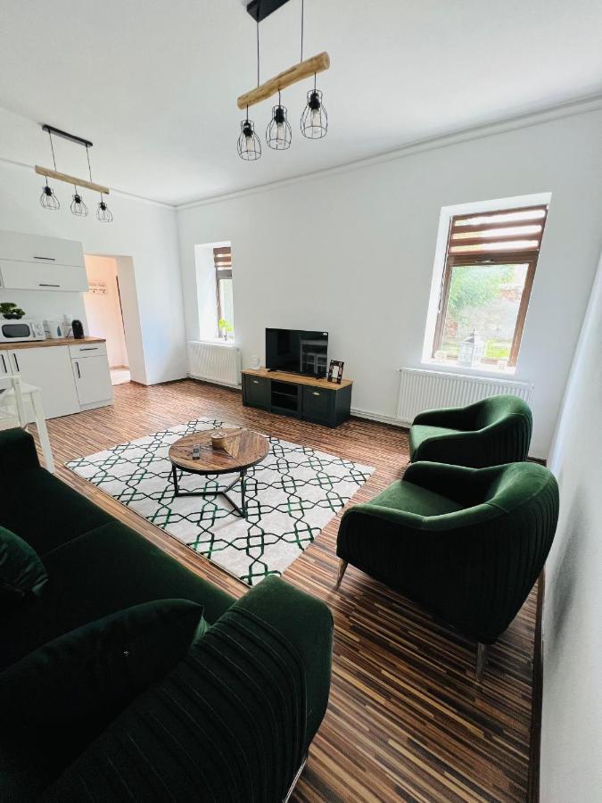 Apartament In Regim Hotelier King Mediaş Екстериор снимка